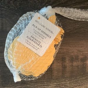 Williams Sonoma Pineapple Pop Up Sponge